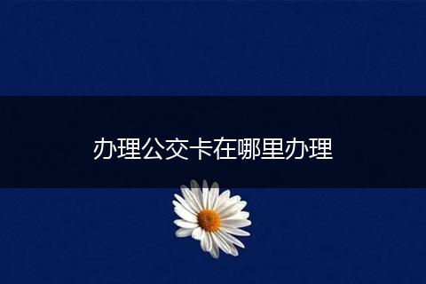 办理公交卡在哪里办理