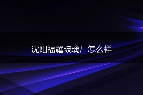 沈阳福耀玻璃厂怎么样