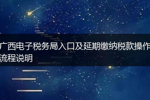 广西电子税务局入口及延期缴纳税款操作流程说明