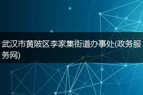 武汉市黄陂区李家集街道办事处(政务服务网)