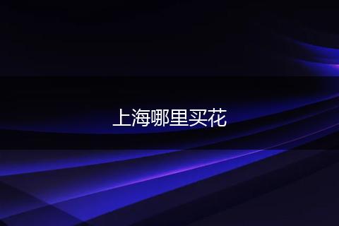 上海哪里买花