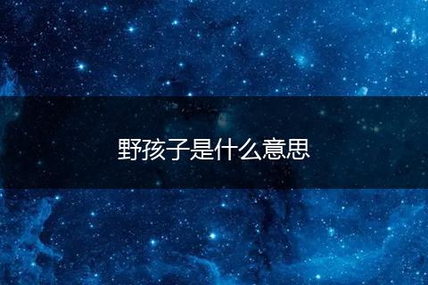 野孩子是什么意思