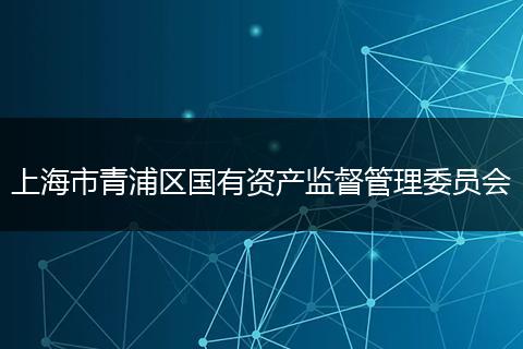 上海市青浦区国有资产监督管理委员会