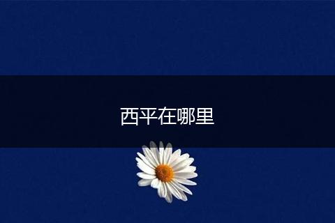 西平在哪里