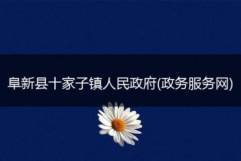 阜新县十家子镇人民政府(政务服务网)