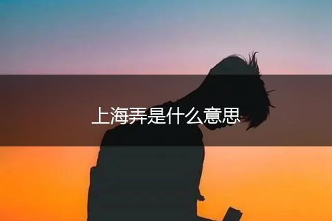 上海弄是什么意思