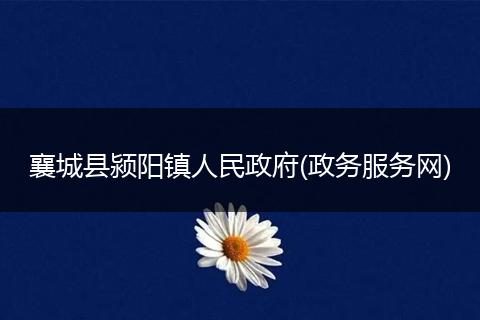 襄城县颍阳镇人民政府(政务服务网)