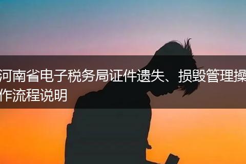 河南省电子税务局证件遗失、损毁管理操作流程说明