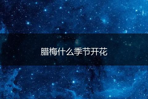 腊梅什么季节开花