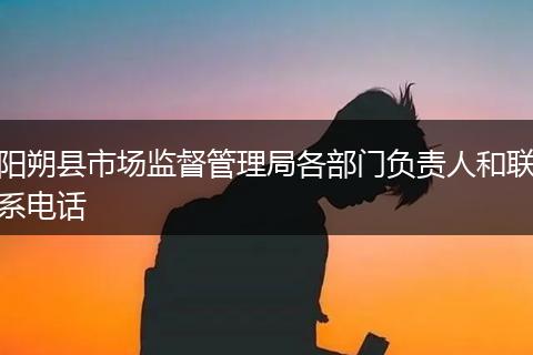 阳朔县市场监督管理局各部门负责人和联系电话
