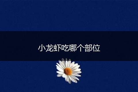 小龙虾吃哪个部位