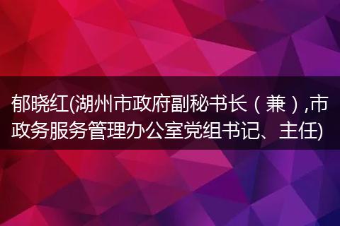 郁晓红(湖州市政府副秘书长（兼）,市政务服务管理办公室党组书记、主任)