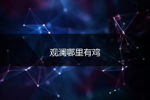 观澜哪里有鸡