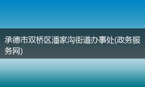 承德市双桥区潘家沟街道办事处(政务服务网)