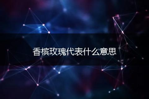 香槟玫瑰代表什么意思