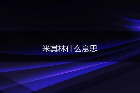 米其林什么意思