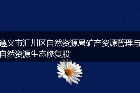 遵义市汇川区自然资源局矿产资源管理与自然资源生态修复股