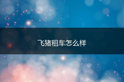 飞猪租车怎么样