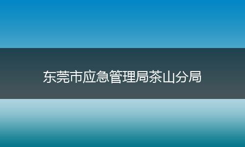 东莞市应急管理局茶山分局