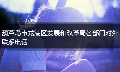 葫芦岛市龙港区发展和改革局各部门对外联系电话