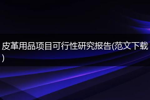 皮革用品项目可行性研究报告(范文下载)