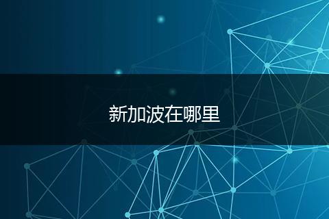 新加波在哪里