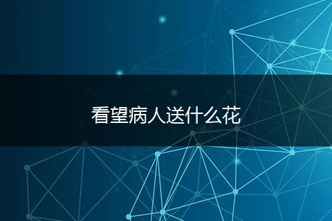 看望病人送什么花