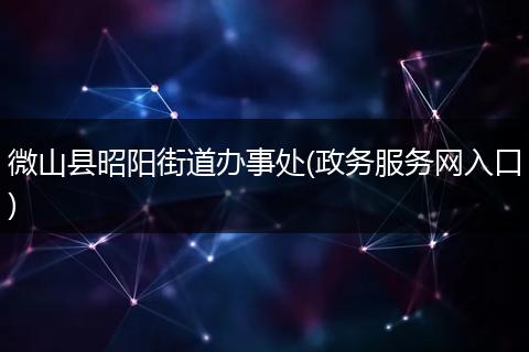 微山县昭阳街道办事处(政务服务网入口)