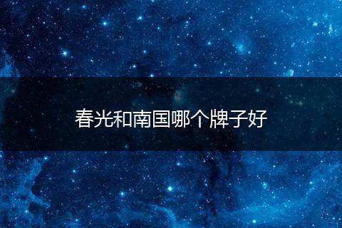春光和南国哪个牌子好