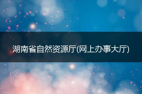 湖南省自然资源厅(网上办事大厅)