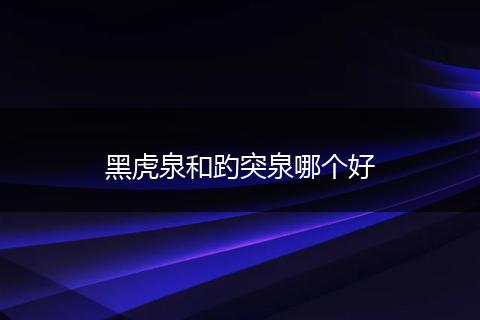 黑虎泉和趵突泉哪个好