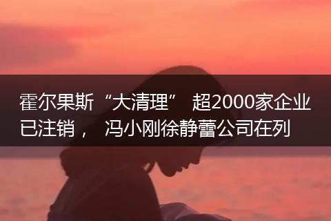 霍尔果斯“大清理” 超2000家企业已注销，  冯小刚徐静蕾公司在列