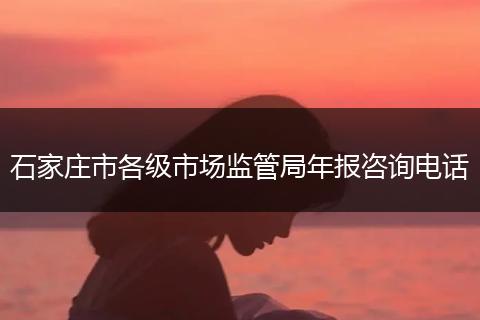 石家庄市各级市场监管局年报咨询电话