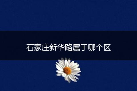 石家庄新华路属于哪个区