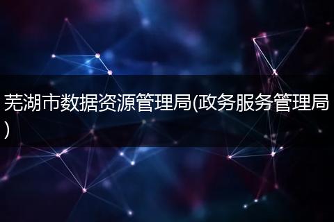 芜湖市数据资源管理局(政务服务管理局)