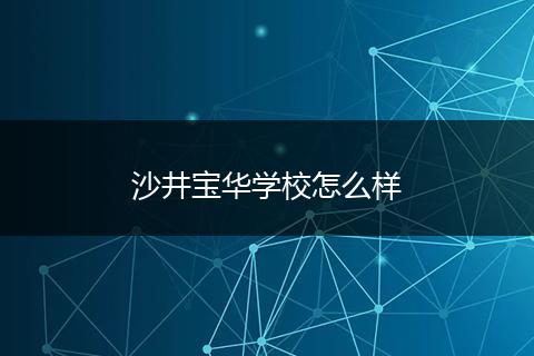 沙井宝华学校怎么样