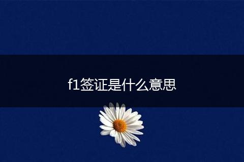 f1签证是什么意思