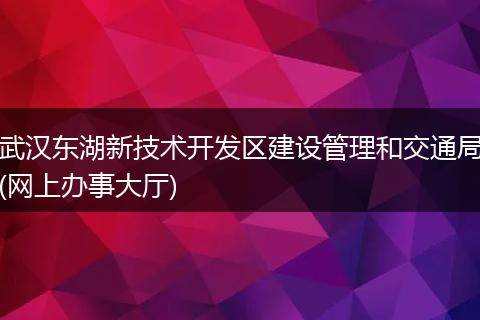 武汉东湖新技术开发区建设管理和交通局(网上办事大厅)