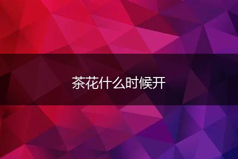 茶花什么时候开