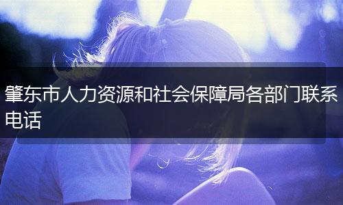 肇东市人力资源和社会保障局各部门联系电话