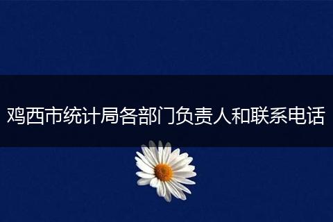 鸡西市统计局各部门负责人和联系电话