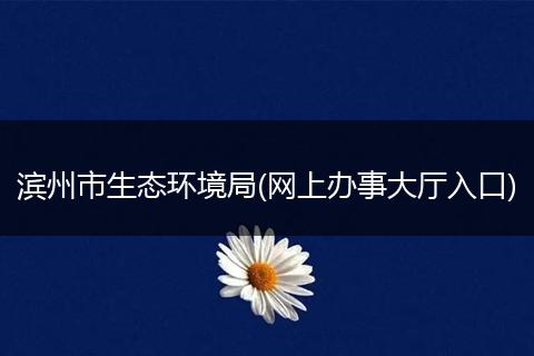 滨州市生态环境局(网上办事大厅入口)