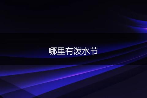 哪里有泼水节
