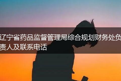 辽宁省药品监督管理局综合规划财务处负责人及联系电话