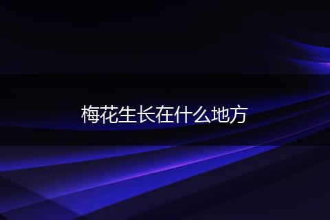 梅花生长在什么地方