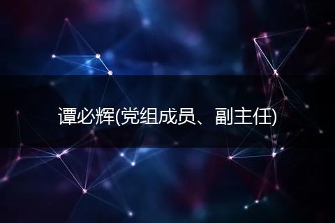 谭必辉(党组成员、副主任)