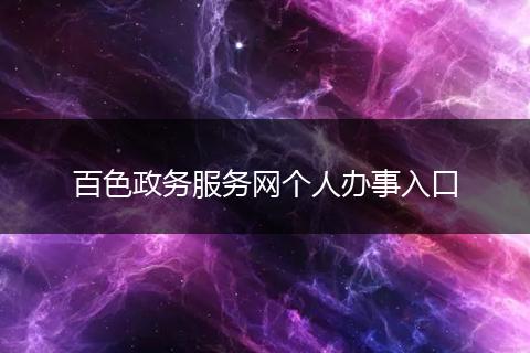 百色政务服务网个人办事入口