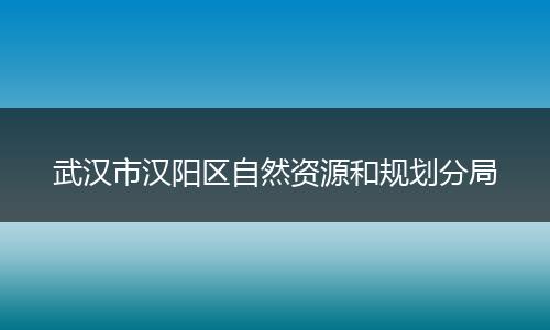 武汉市汉阳区自然资源和规划分局