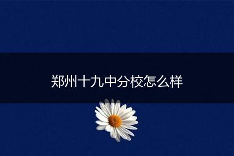 郑州十九中分校怎么样