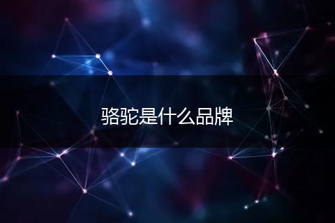 骆驼是什么品牌